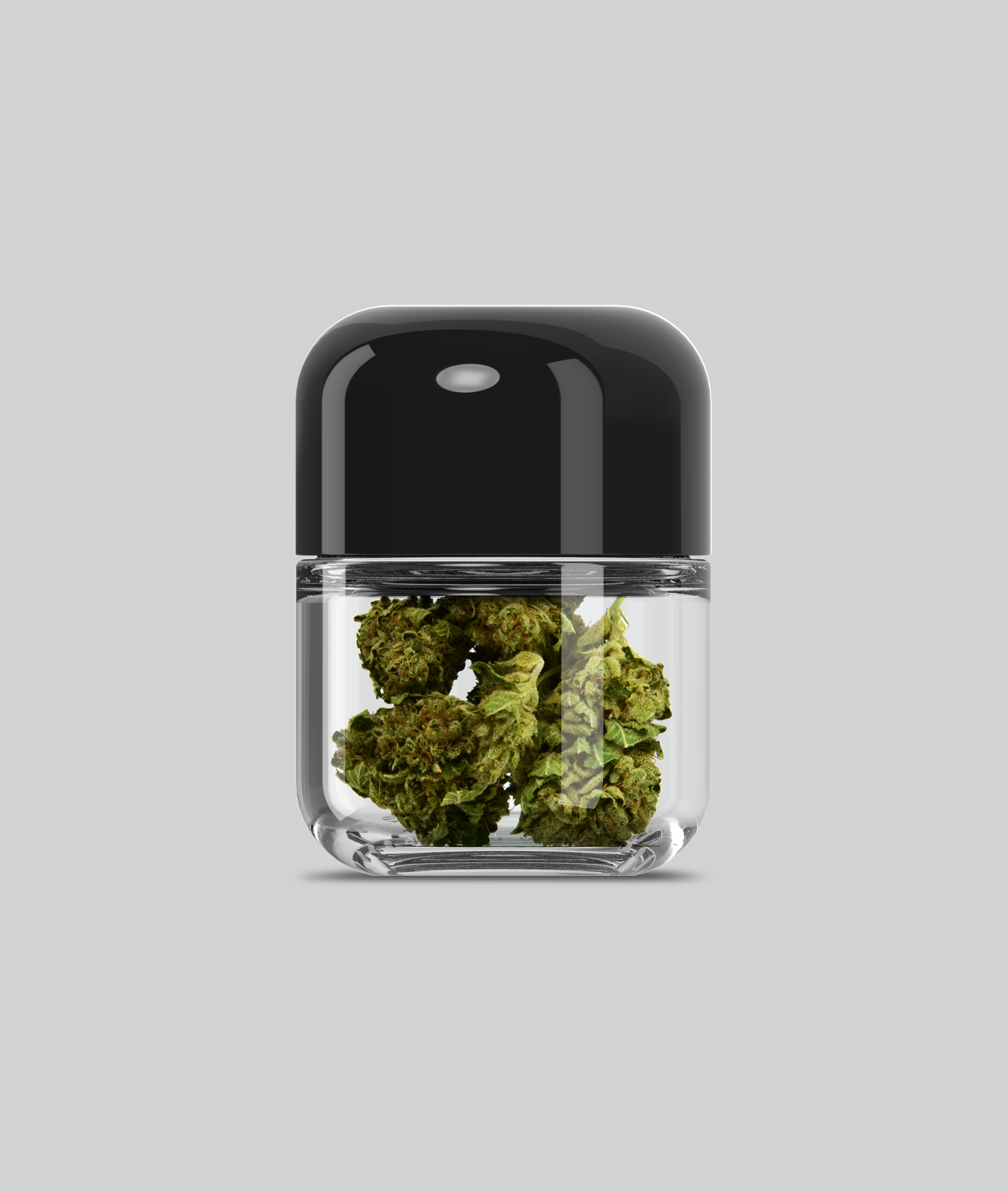 hiline-cbd-airtight-glass-jars